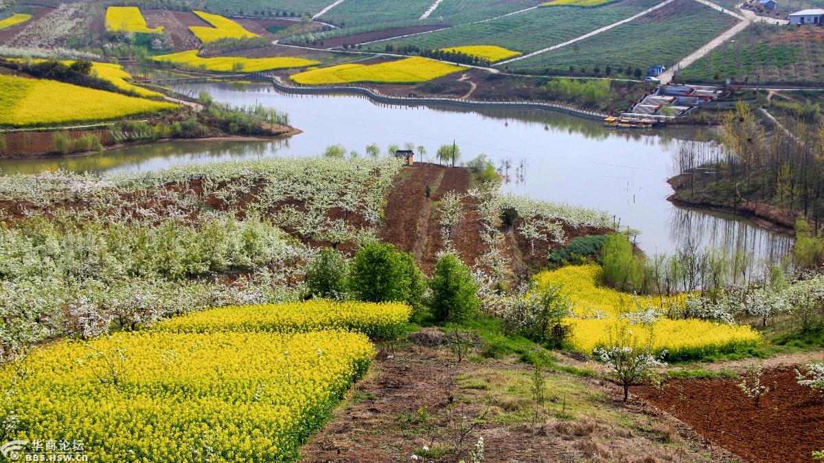 陕西洋县,汉阴古梯田油菜花