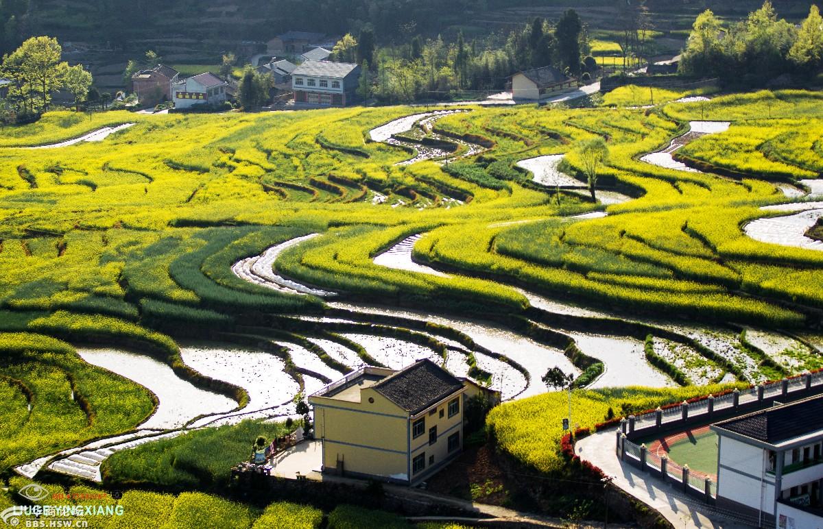 凤堰古梯田平利县龙头村采风记