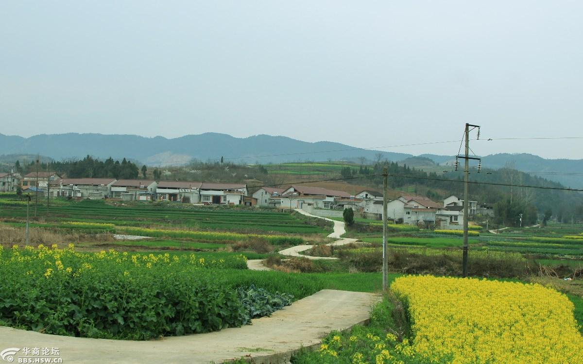 大美汉中原生态洋县乡村廻龙村