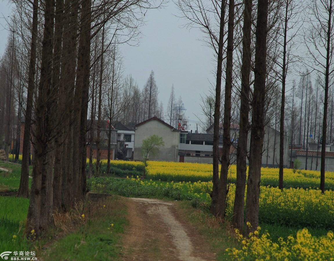 大美汉中,原生态洋县乡村江村的早晨