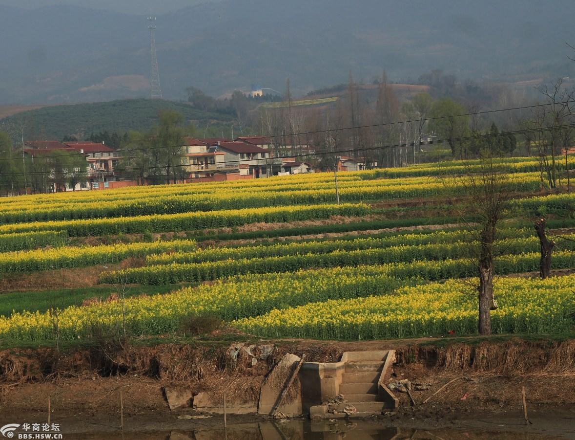 大美汉中生态洋县乡村三日行第三天