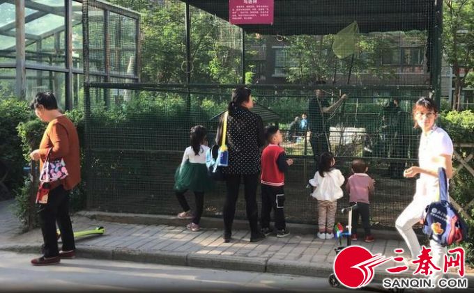 4月17日，一些小区业主围观鸟语林里的小鸟   记者   陈飞波   摄