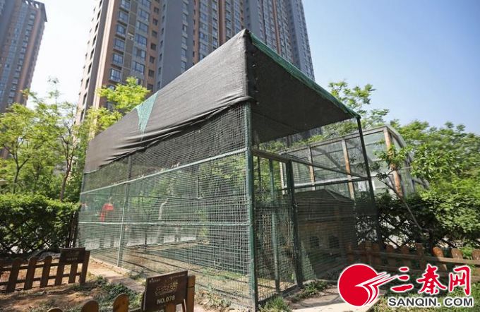 昨天，小区鸟语林里已经没有小鸟了   记者  陈飞波  摄