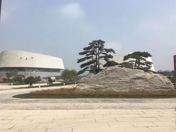图片3