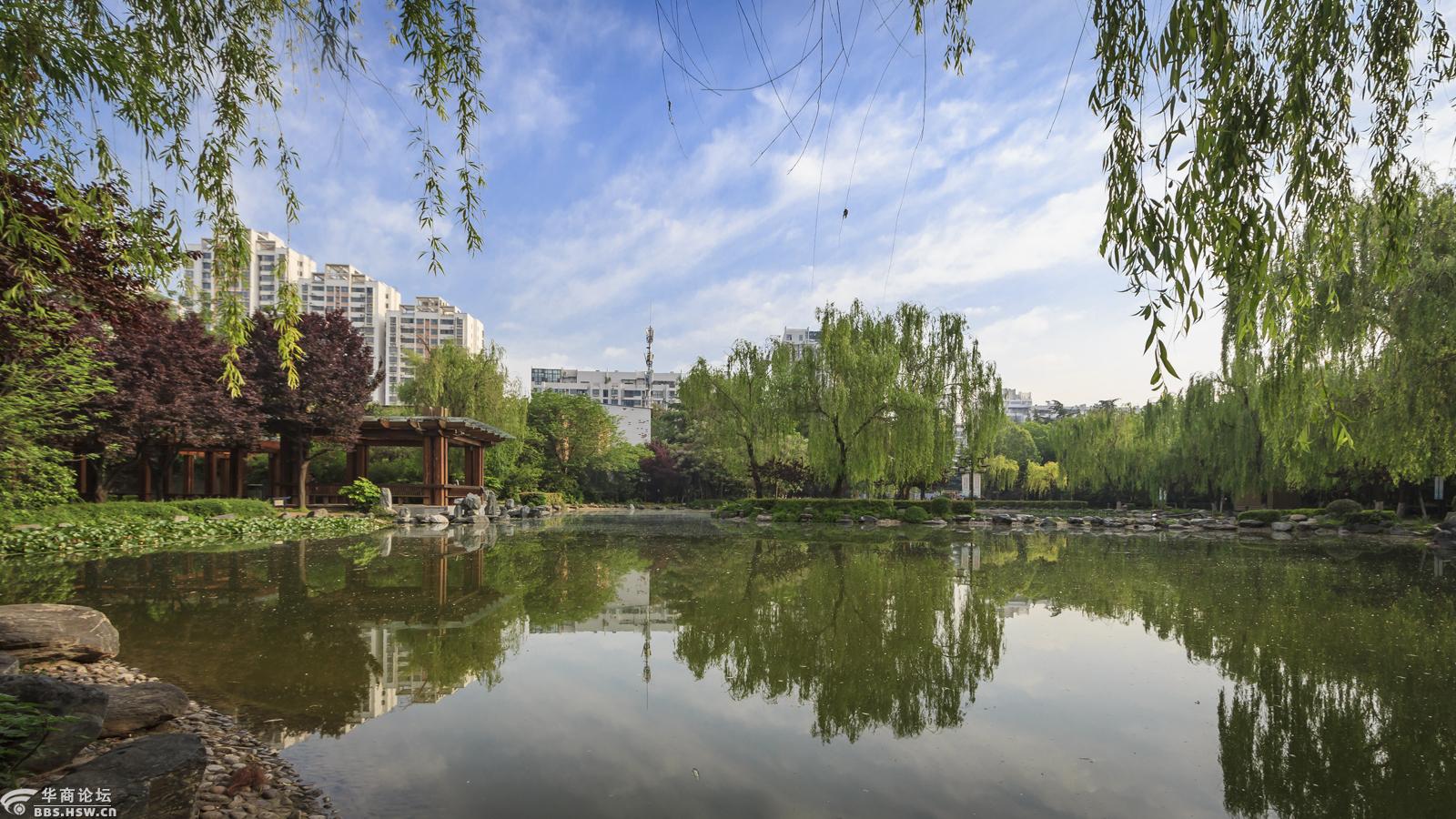 木塔寺公园-西安论坛-华商论坛