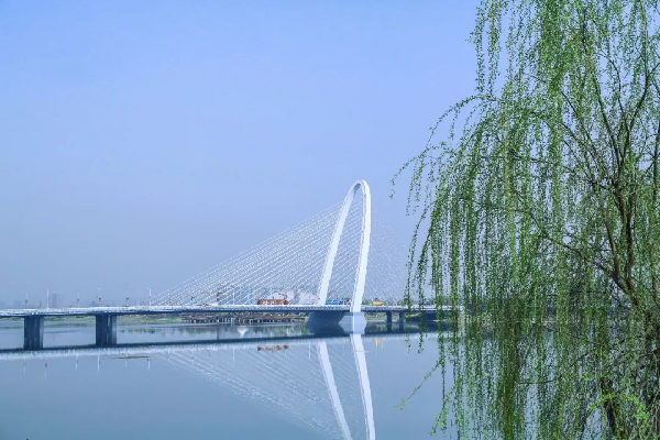 扫黑除恶 