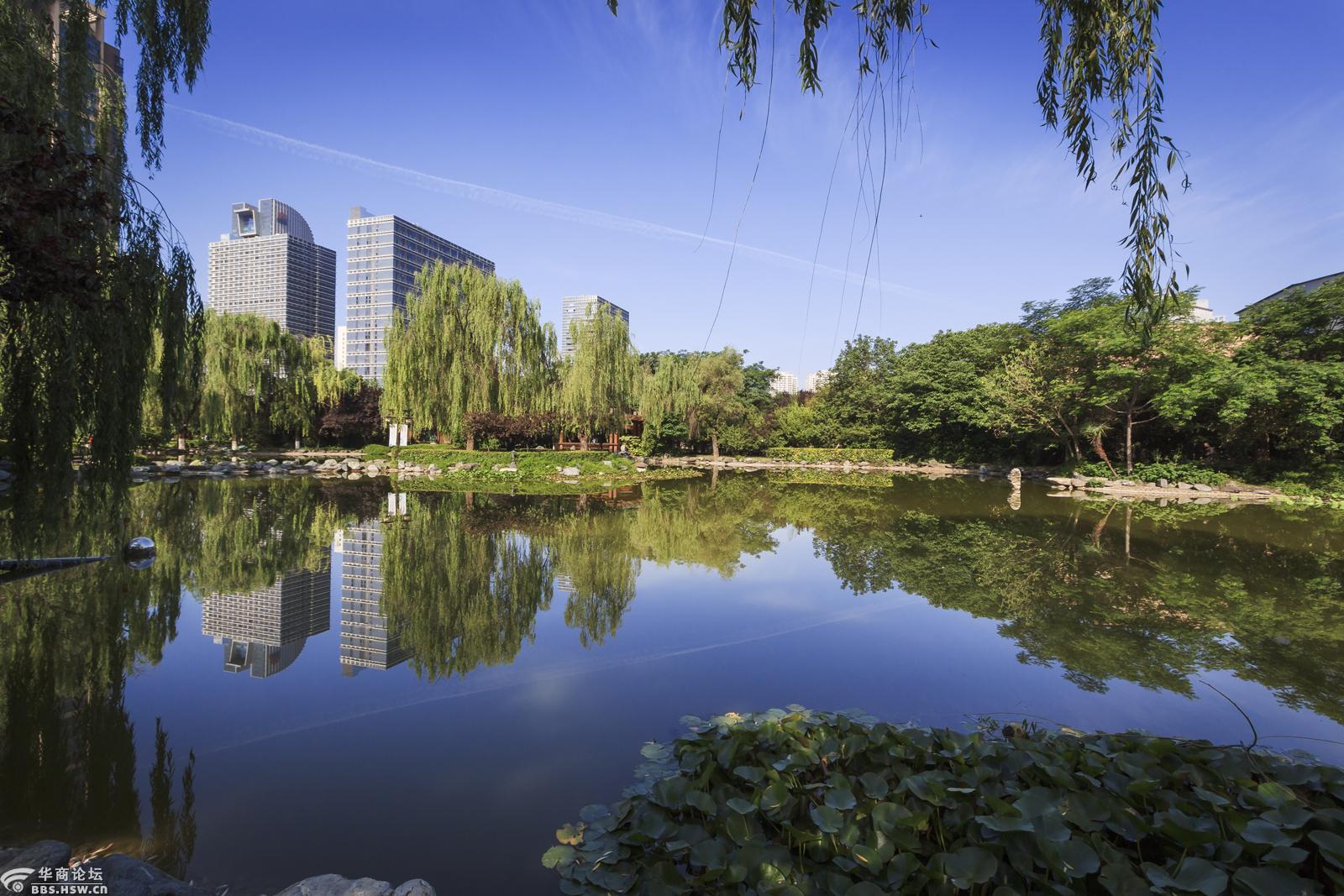 木塔寺公园随拍-西安论坛-华商论坛