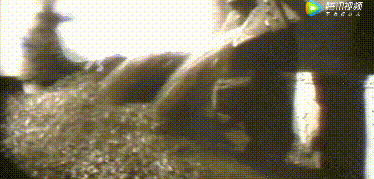 640 (2).gif