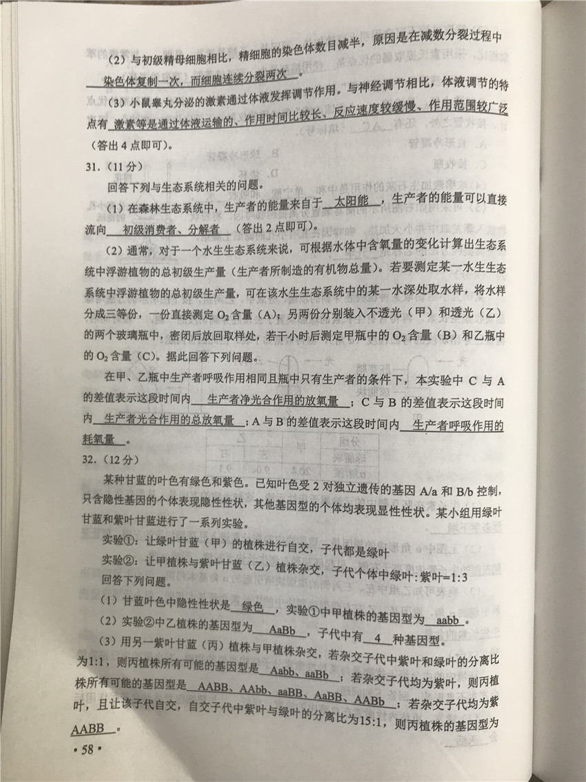 113.jpg