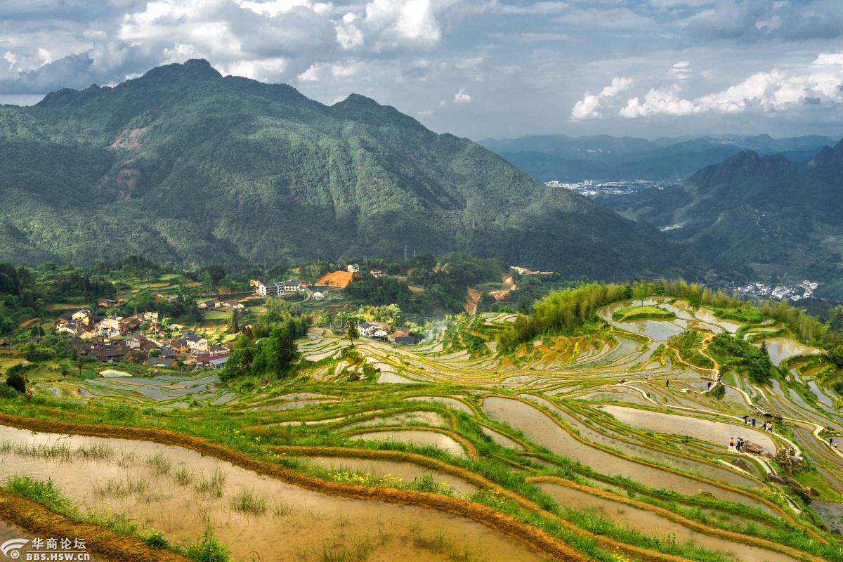 浙赣闽杂记——五 云和梯田