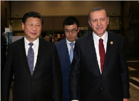 习近平会见土耳其总统埃尔多安
