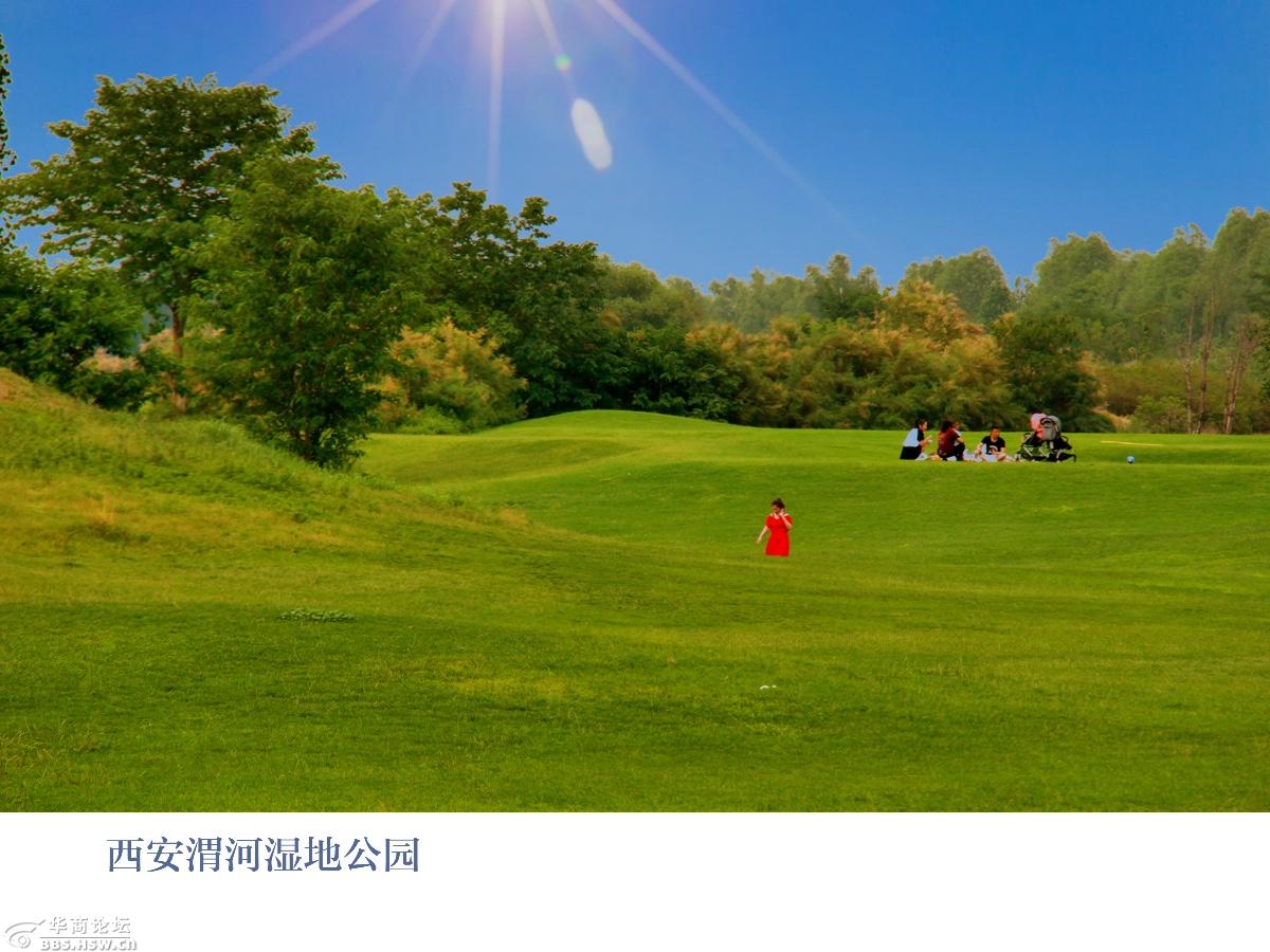 全民乱拍 渭河湿地 怡行怡乐 威望  1 2019-06-18 欣赏 隐藏 回复引用