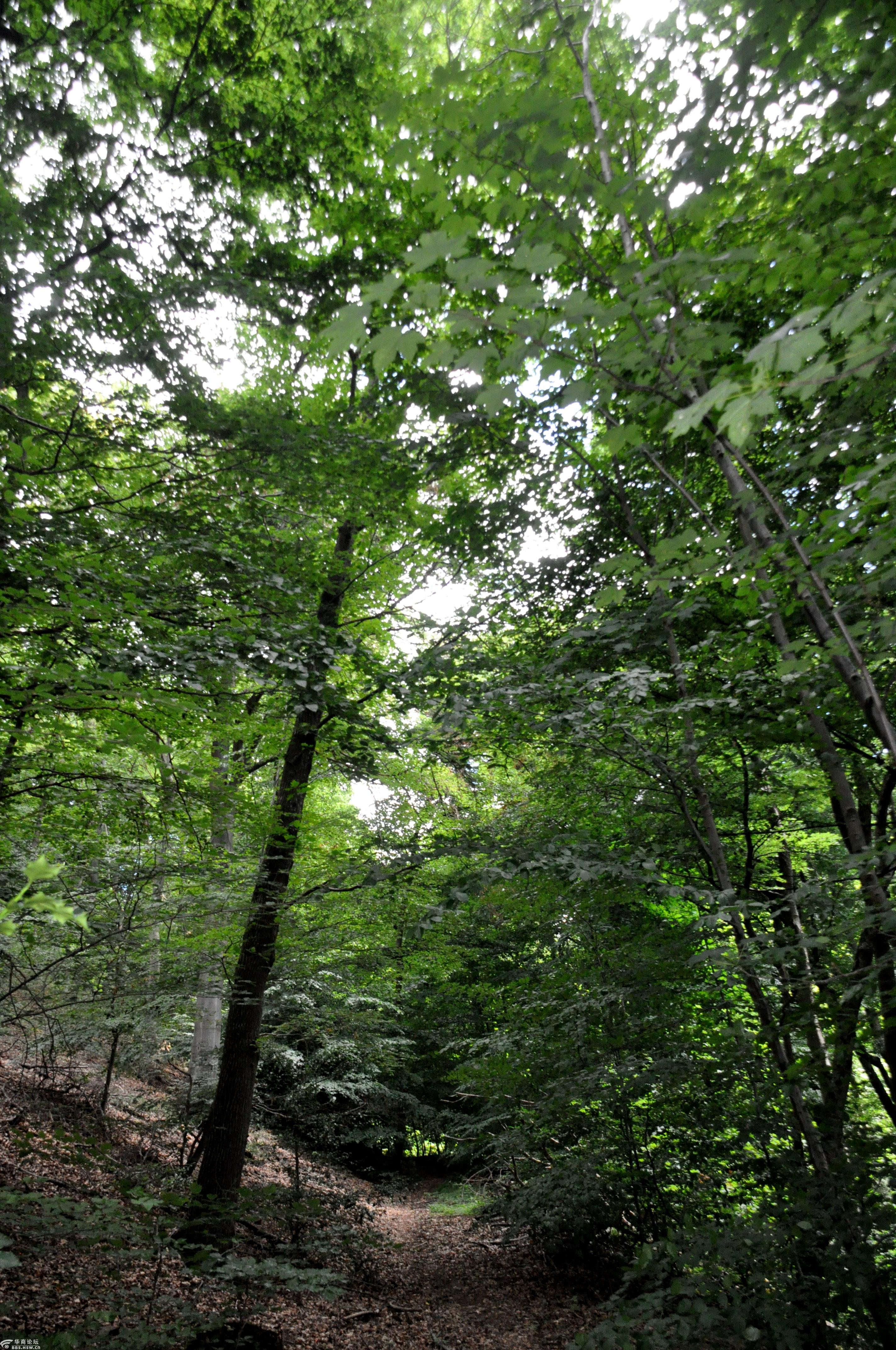 维滕巨岩高石山遛弯观景惬意玩