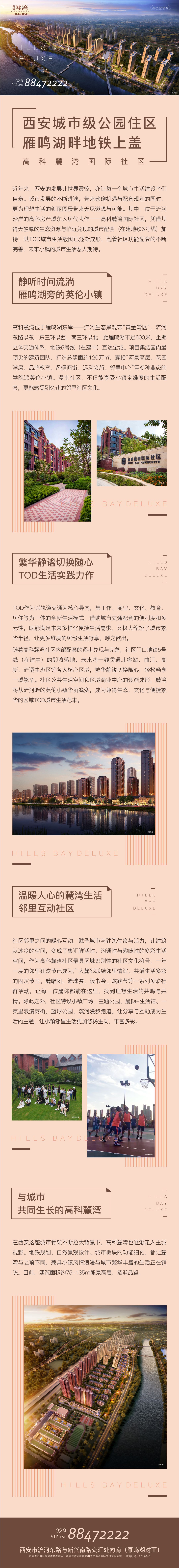长图.jpg