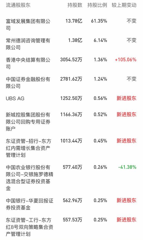 截至2019年一季度末，新城控股的十大流通股股东。