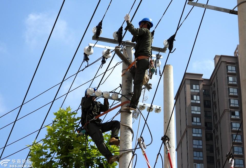 电力工人顶着烈日抢修线路,保障群众安全用电!