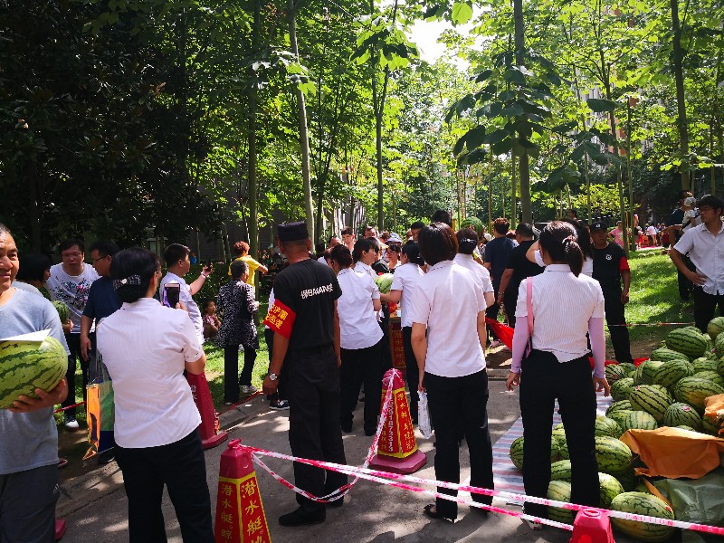 成立业委会变化大 浐灞半岛A10|A15小区万余斤西瓜免费发业主