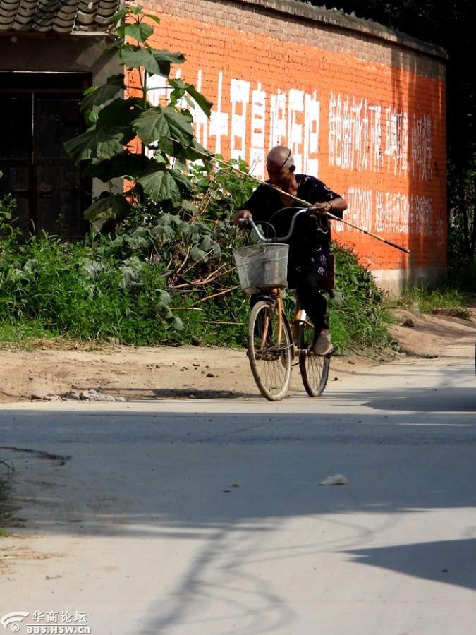 骑自行车的牧羊老人