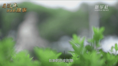 4.gif