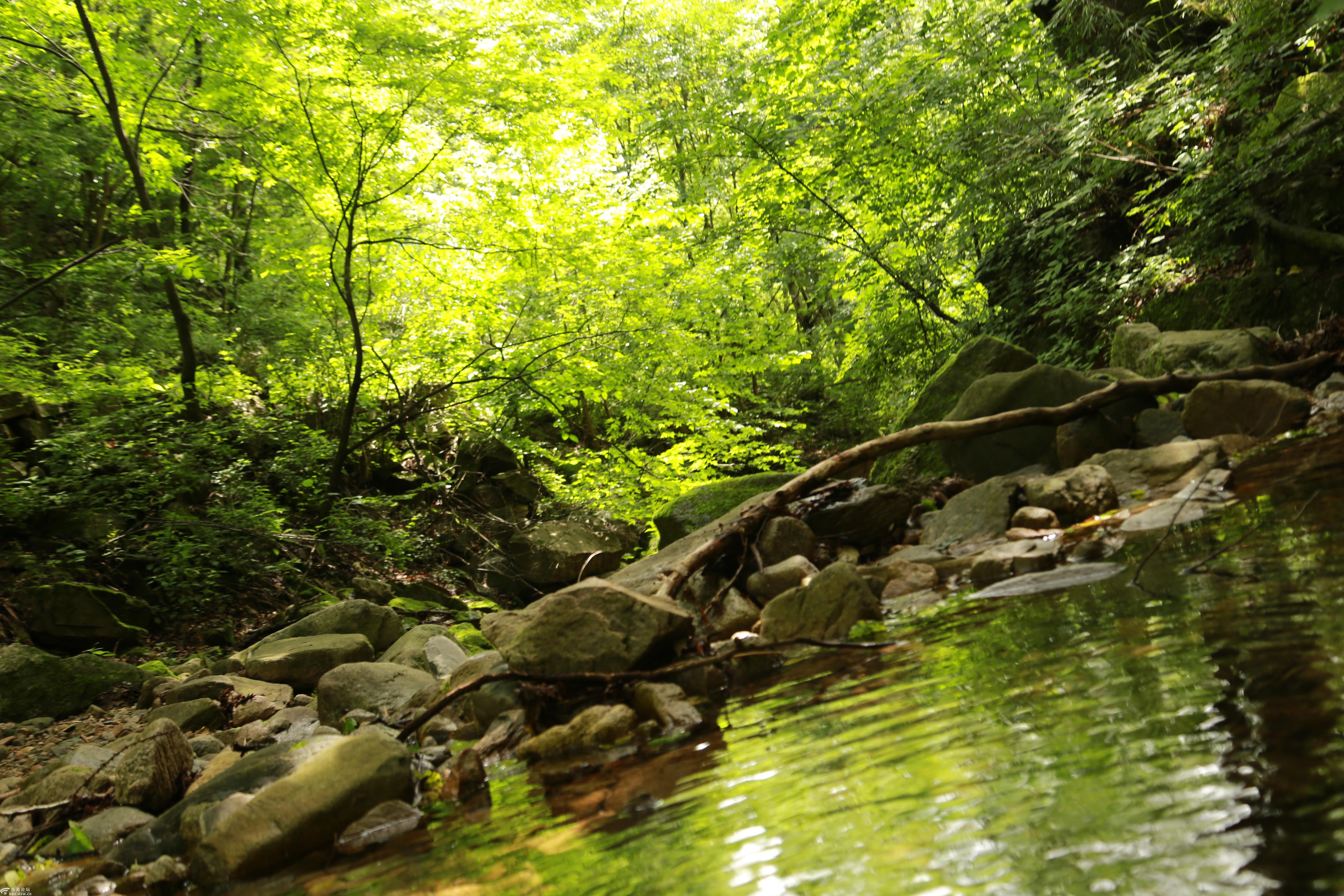 8月18日周日西寺沟休闲乘凉戏水摄影纯休闲
