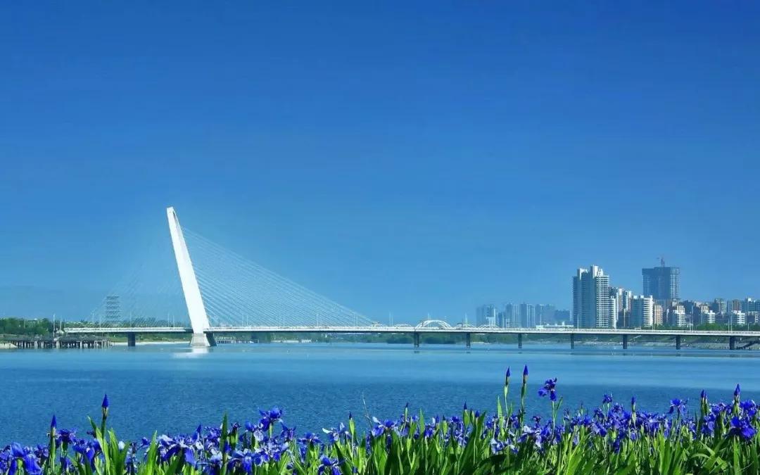 微信图片_20190816111557.jpg