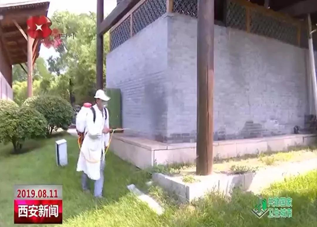微信图片_20190816110317.jpg