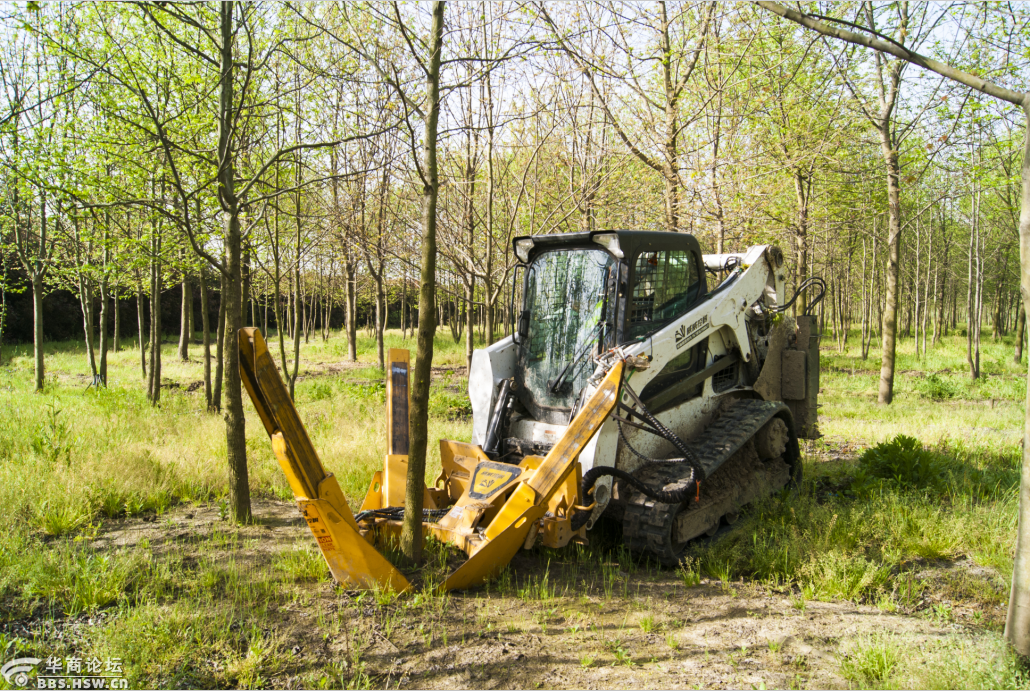 老外发明的一款挖树机整棵树被连根拔起简直太厉害了威威挖树
