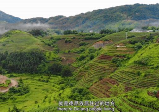 “可爱的中国”之德昂族：出生茶、定亲茶、和睦茶……这个民族以茶为图腾