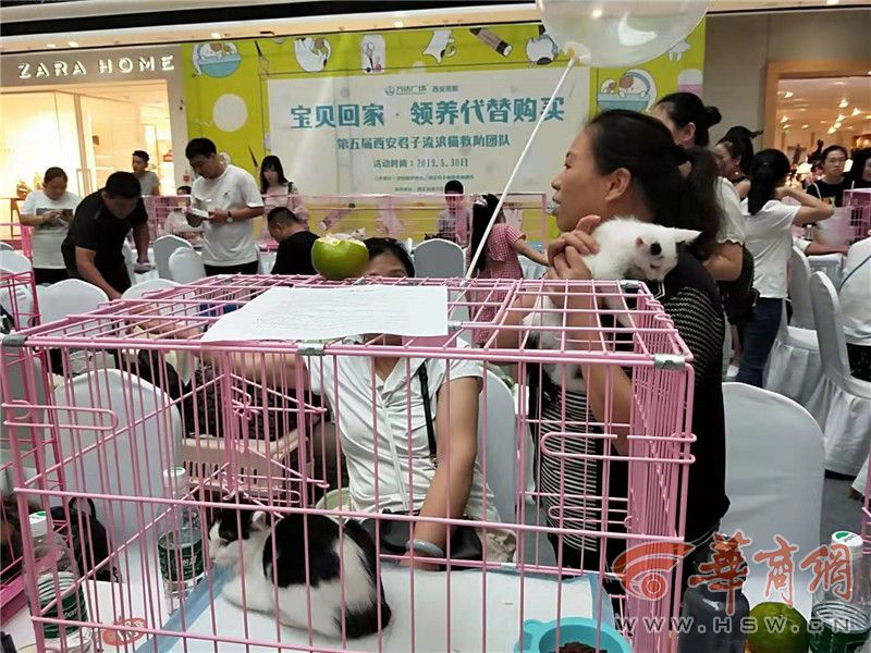 TIM图片20190831154235.jpg