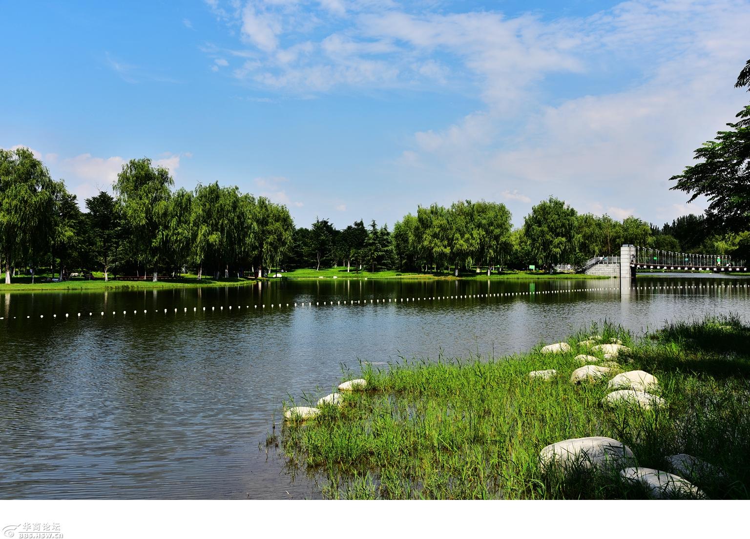 渭河南岸西安段生态景区掠影之紫薇湖