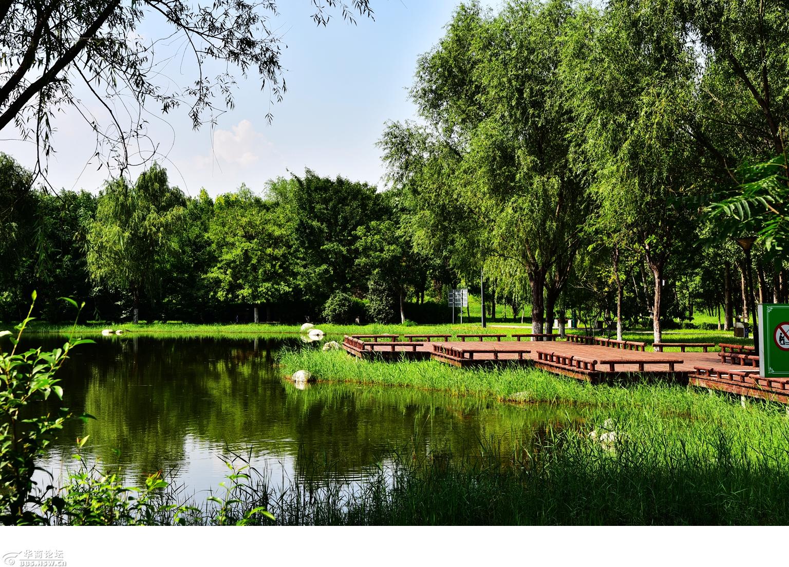 渭河南岸西安段生态景区掠影之紫薇湖