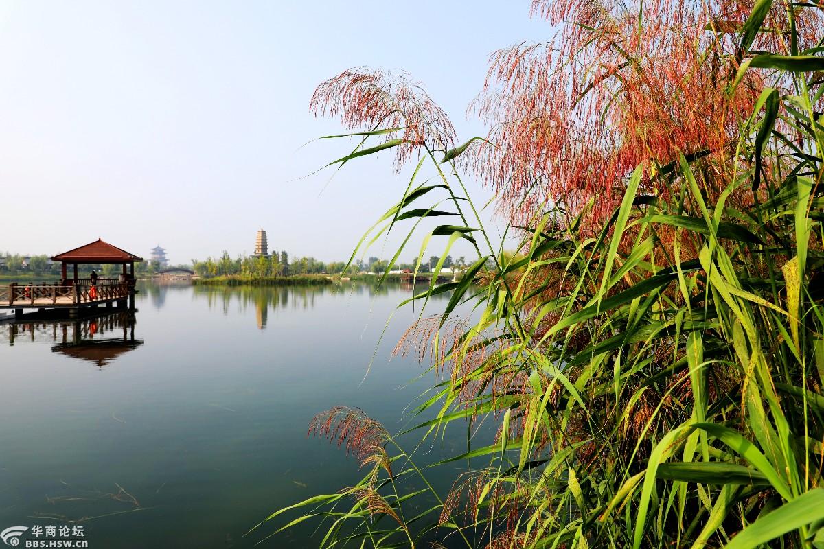 浅秋渼陂湖