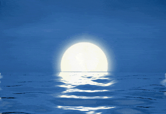 b038f8z0.gif