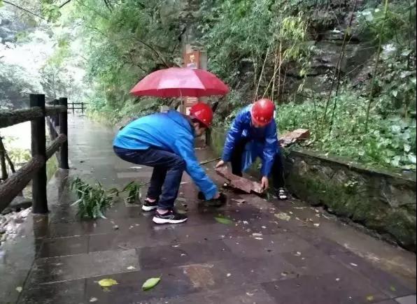 微信图片_20190917133835.jpg