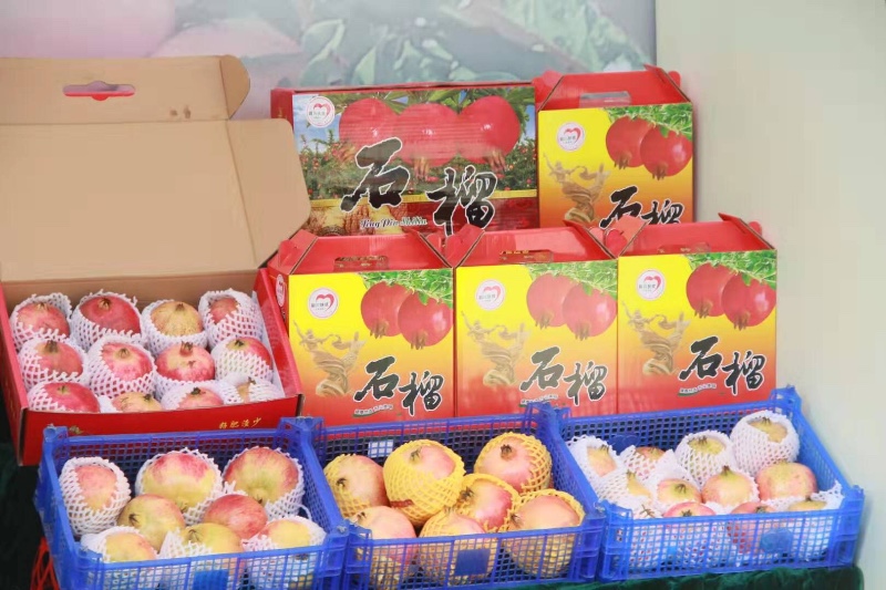 “壮丽70年 丰收时节看三秦” 铜川市第二届扶贫交易会开幕 