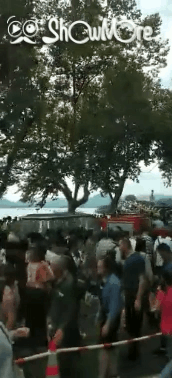 2D0988600449B1D0AD1E965ACDAF90E0990B6912_w172_h378.gif