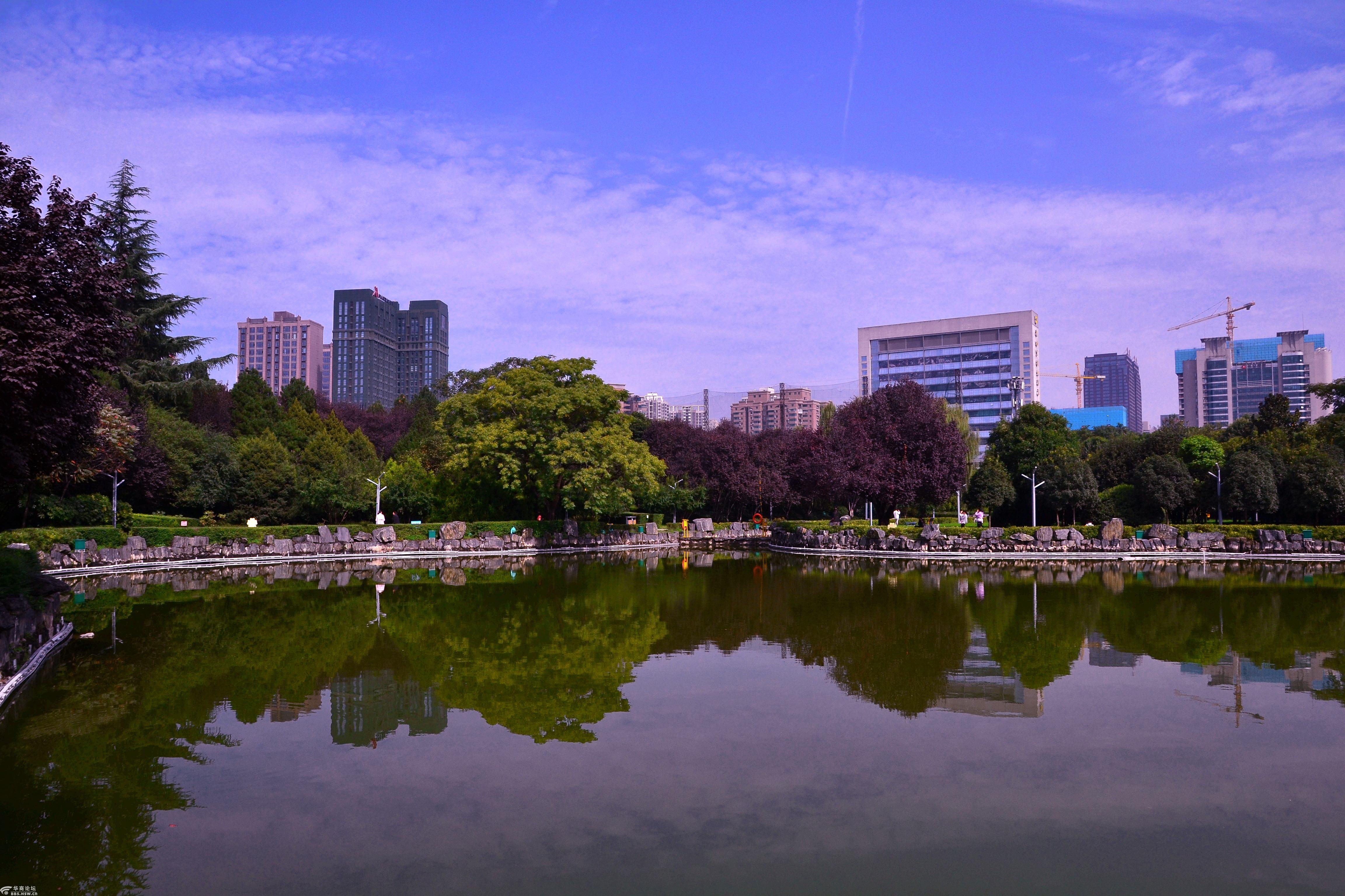 高新区新纪元公园即景