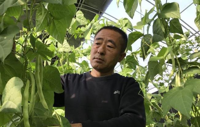 陕西神木：“一组一品”发展特色产业 建设美丽乡村