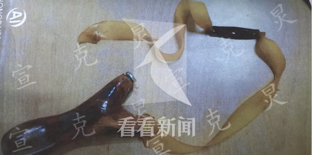 闯大祸!男子自制弹弓打狗 却致邻居一只眼失明入狱
