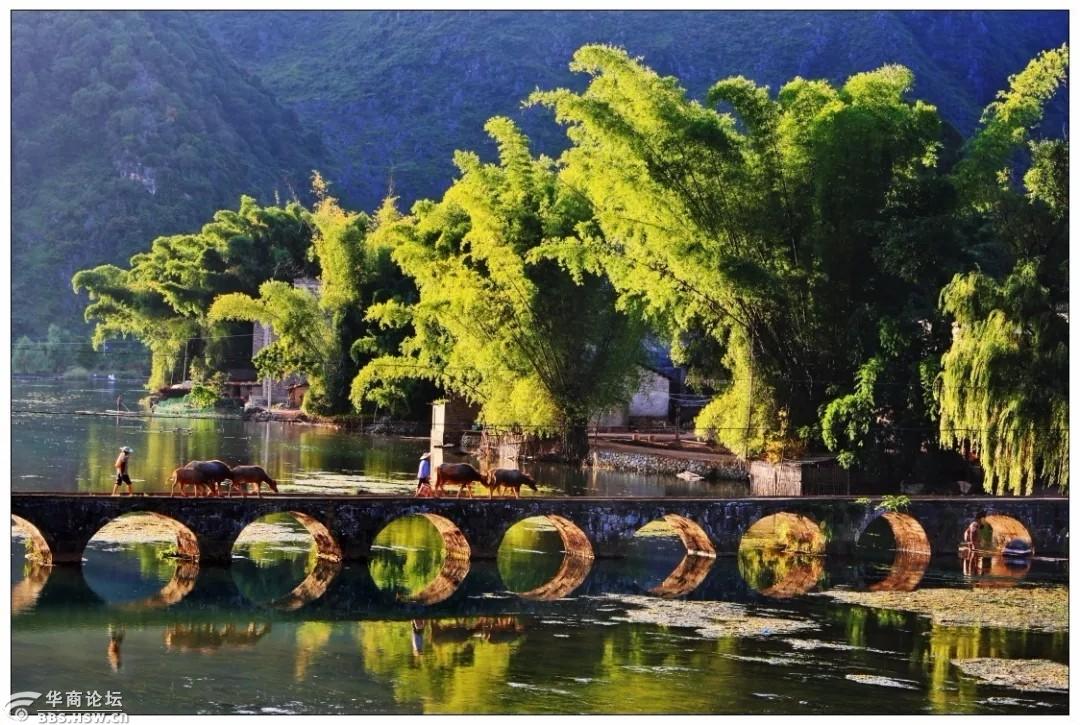 一路精彩11111125广西京族三岛德天瀑布靖西山水七百弄巴马长寿村7日