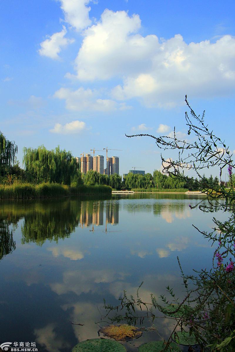 西安西三环外的云水公园——既有云又有水