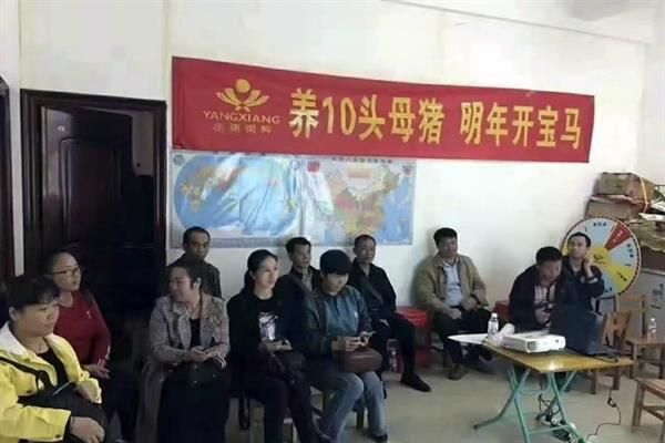 抵不过几斤猪肉的5G套餐 为啥人人喊贵？