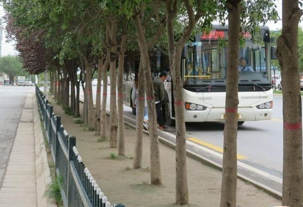 记者手记 ：子午大道群众跨栏乘公交难解决 合适吗？合理吗？合格吗？
