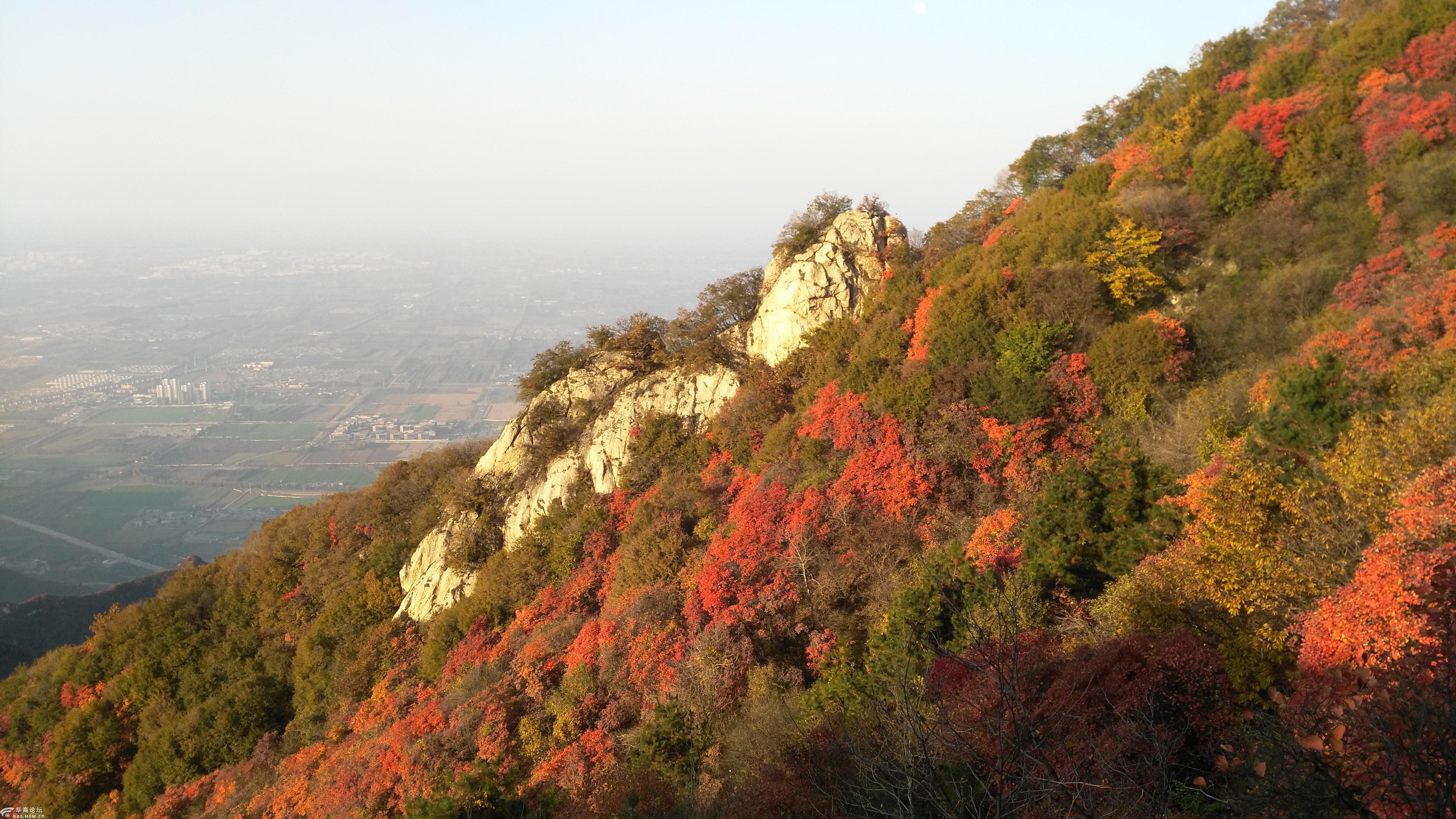 野游户县圭峰山赏秋色流水木桥通小径哪知曲折何处
