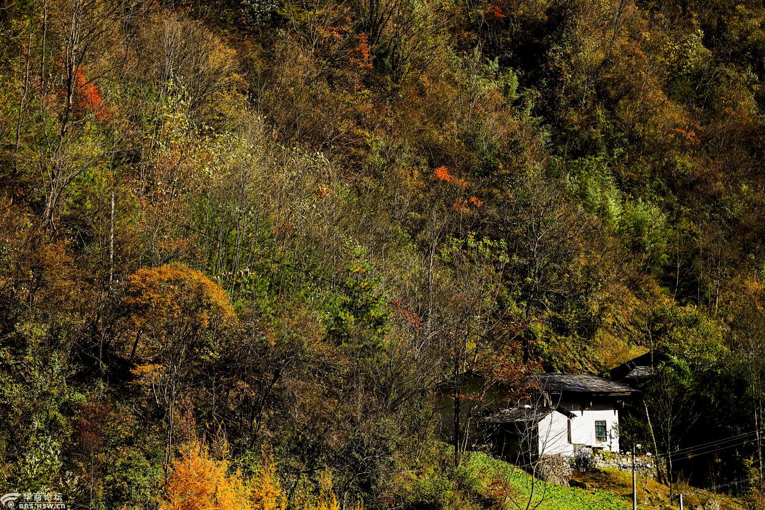 秦巴深处的仙山琼阁