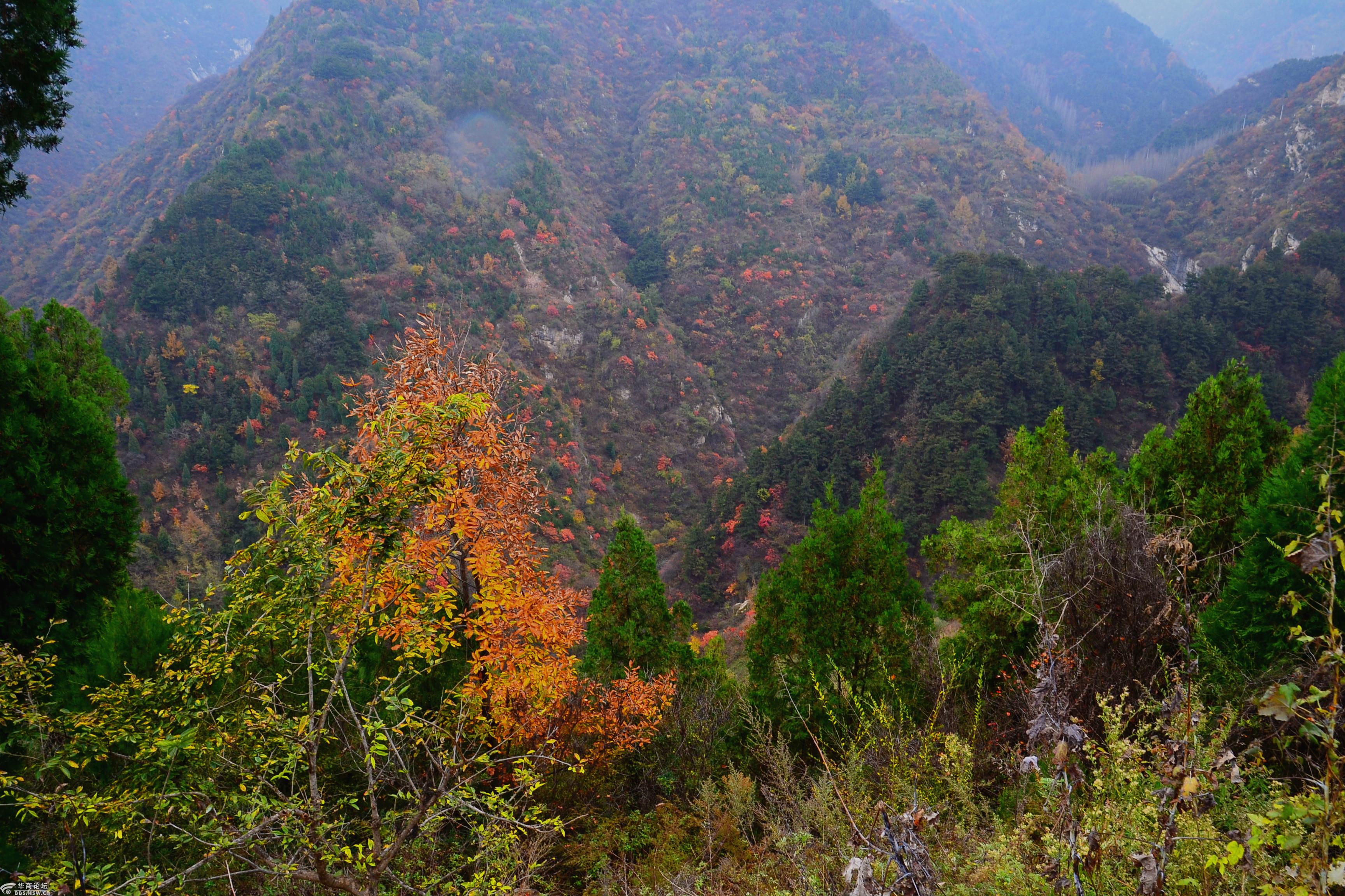 雨中骑行即景秦岭天子峪