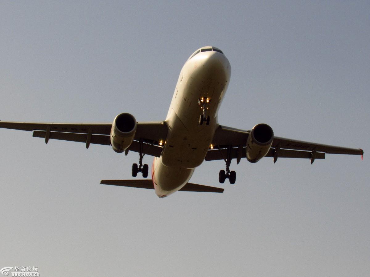 掠过头顶的飞机