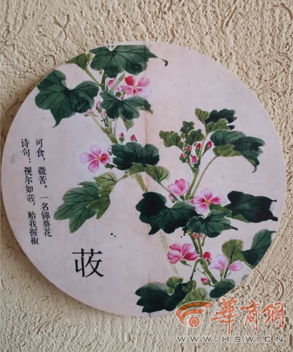 图片11.png