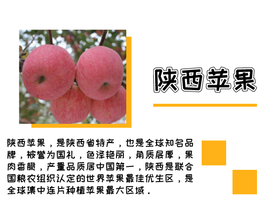14.png