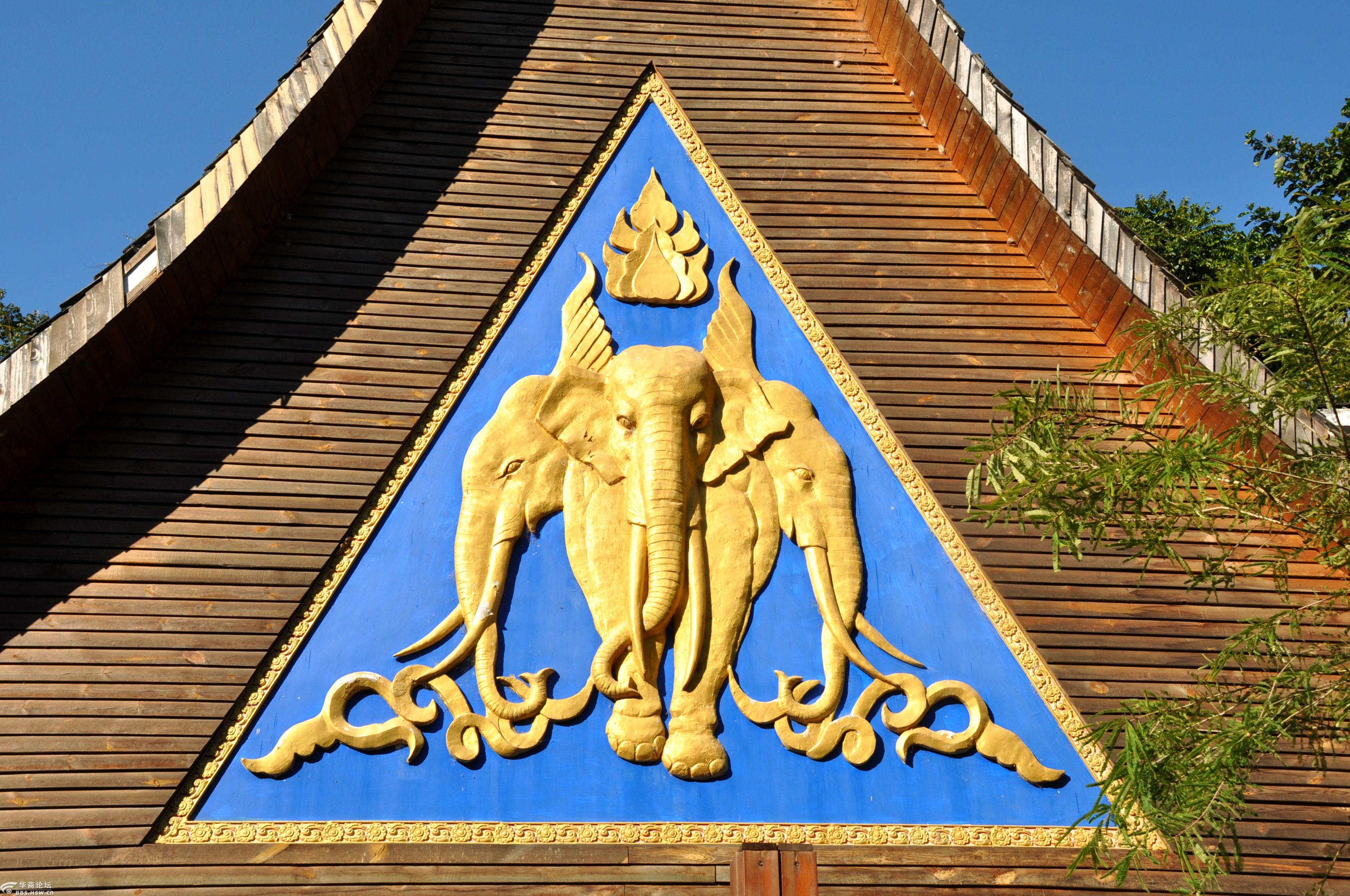 云南西双版纳野象谷之中国亚洲象博物馆篇